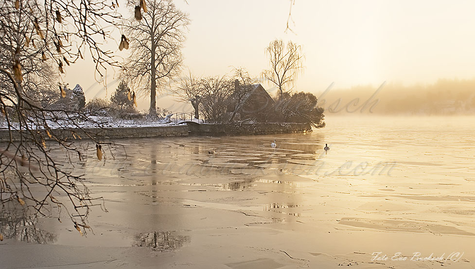 Foto av Eva Bucksch